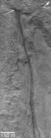 The first picture shows a pair of gully channels that emerge, fully-born at nearly their full width, from beneath small overhangs on the north wall of Dao Vallis.